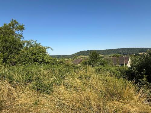  for sale terrain Bourbonne-les-Bains Haute-Marne 9