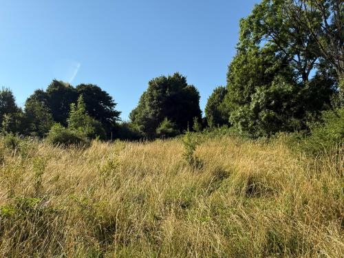  for sale terrain Bourbonne-les-Bains Haute-Marne 7