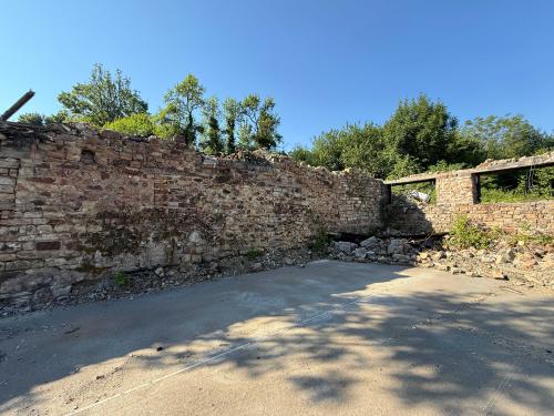  for sale terrain Bourbonne-les-Bains Haute-Marne 11