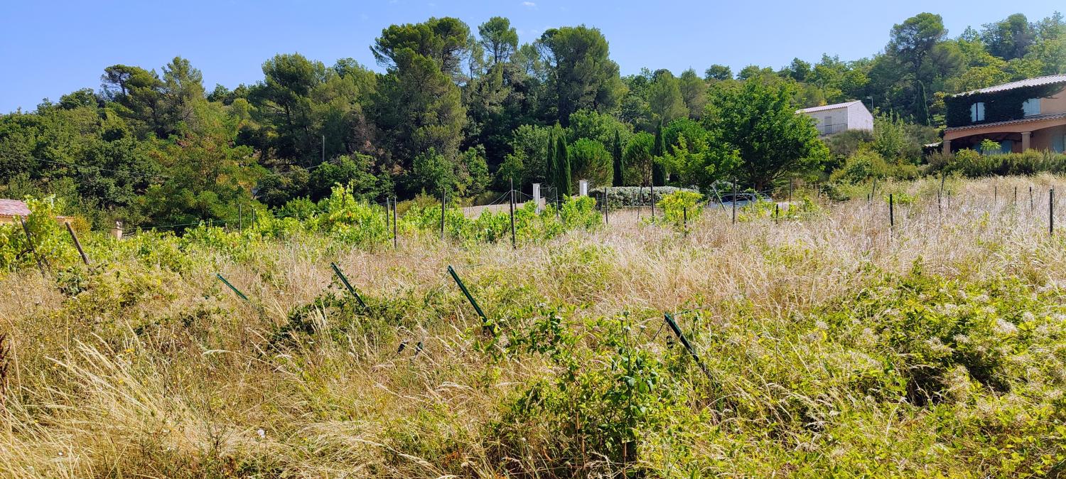  for sale terrain Lincel Alpes-de-Haute-Provence 4
