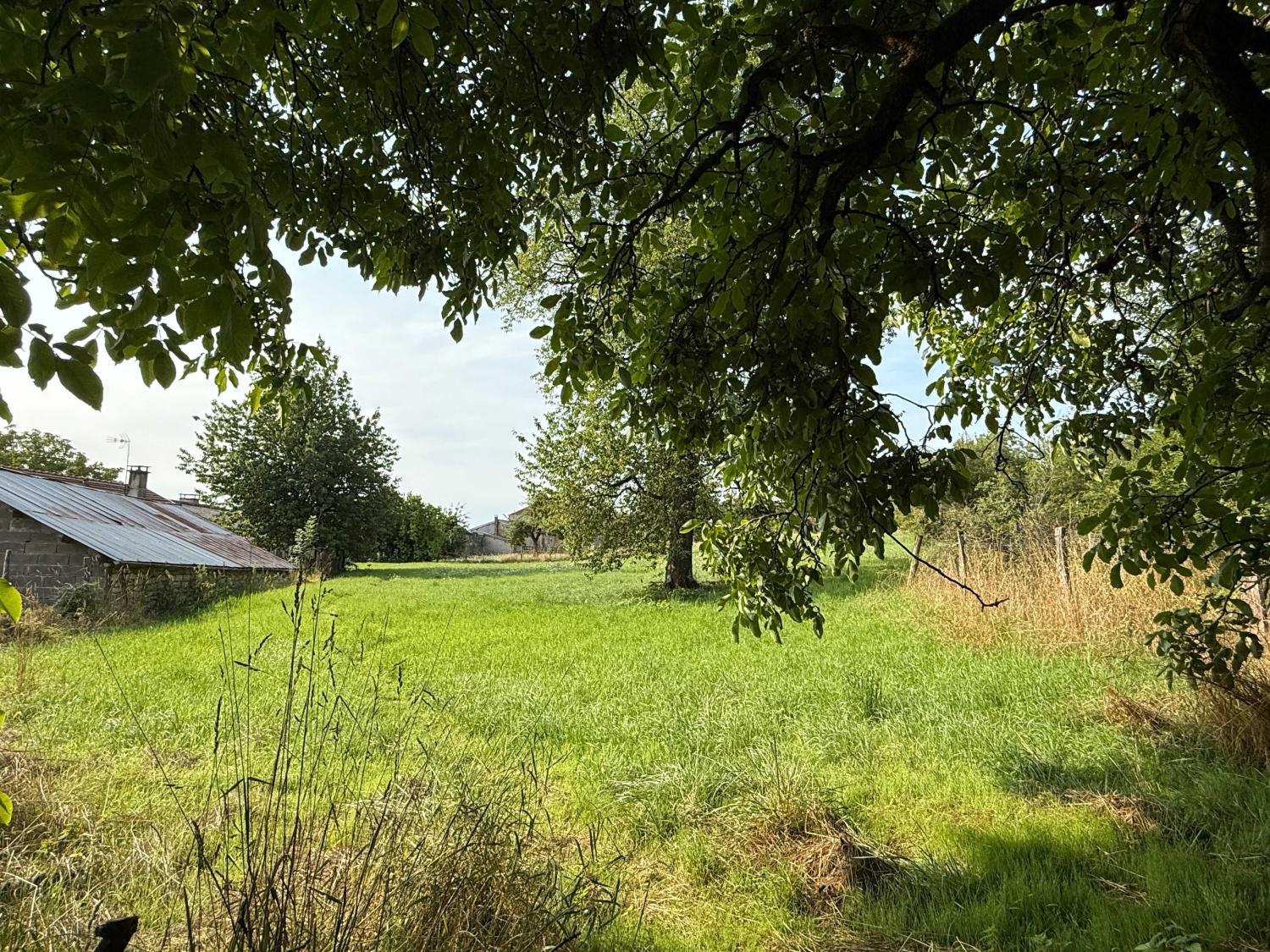  for sale village farm Châtillon-sur-Saône Vosges 2