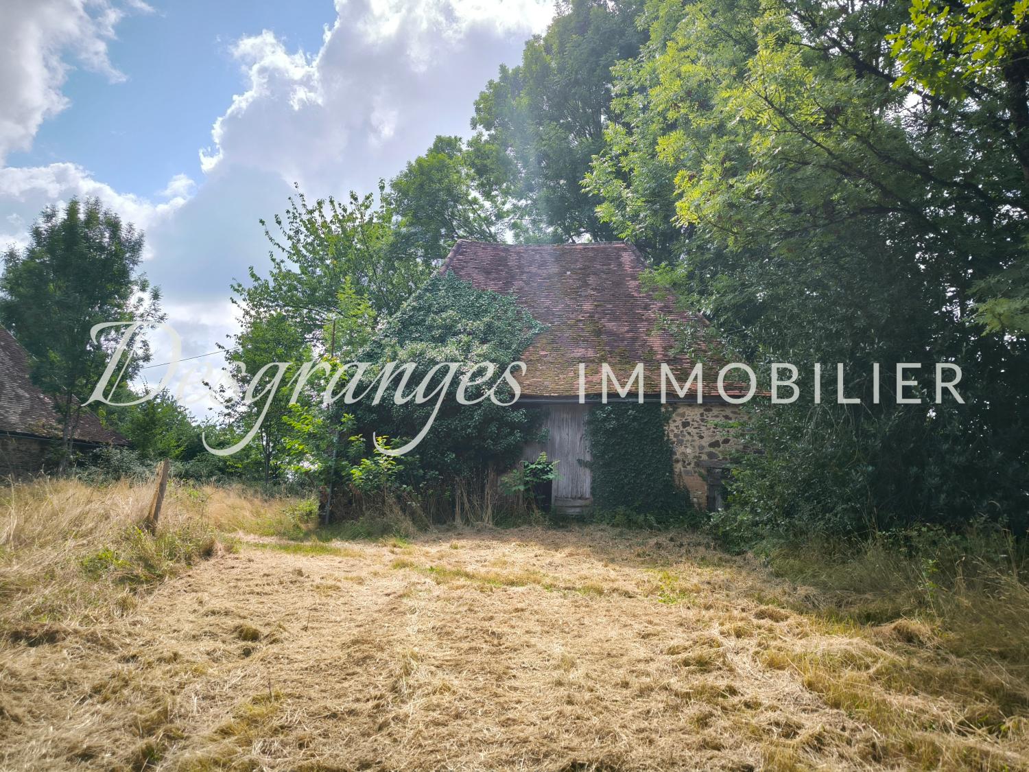  for sale farm Coussac-Bonneval Haute-Vienne 13
