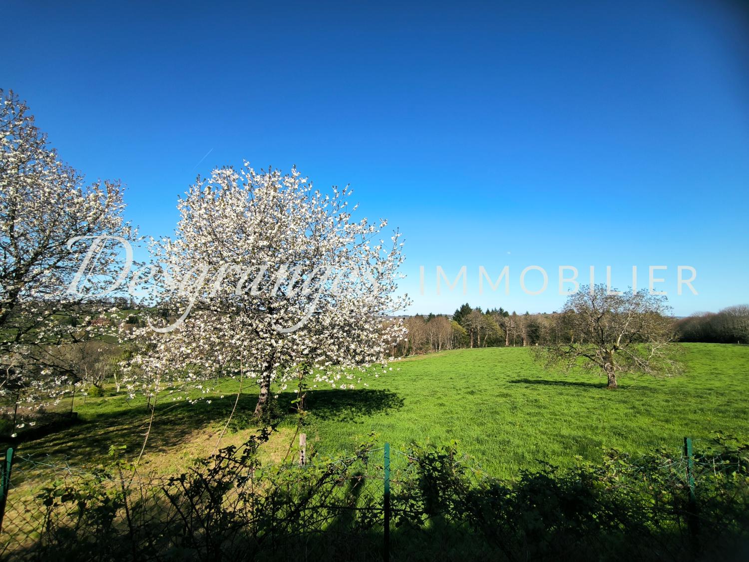  for sale detached house Payzac Dordogne 3