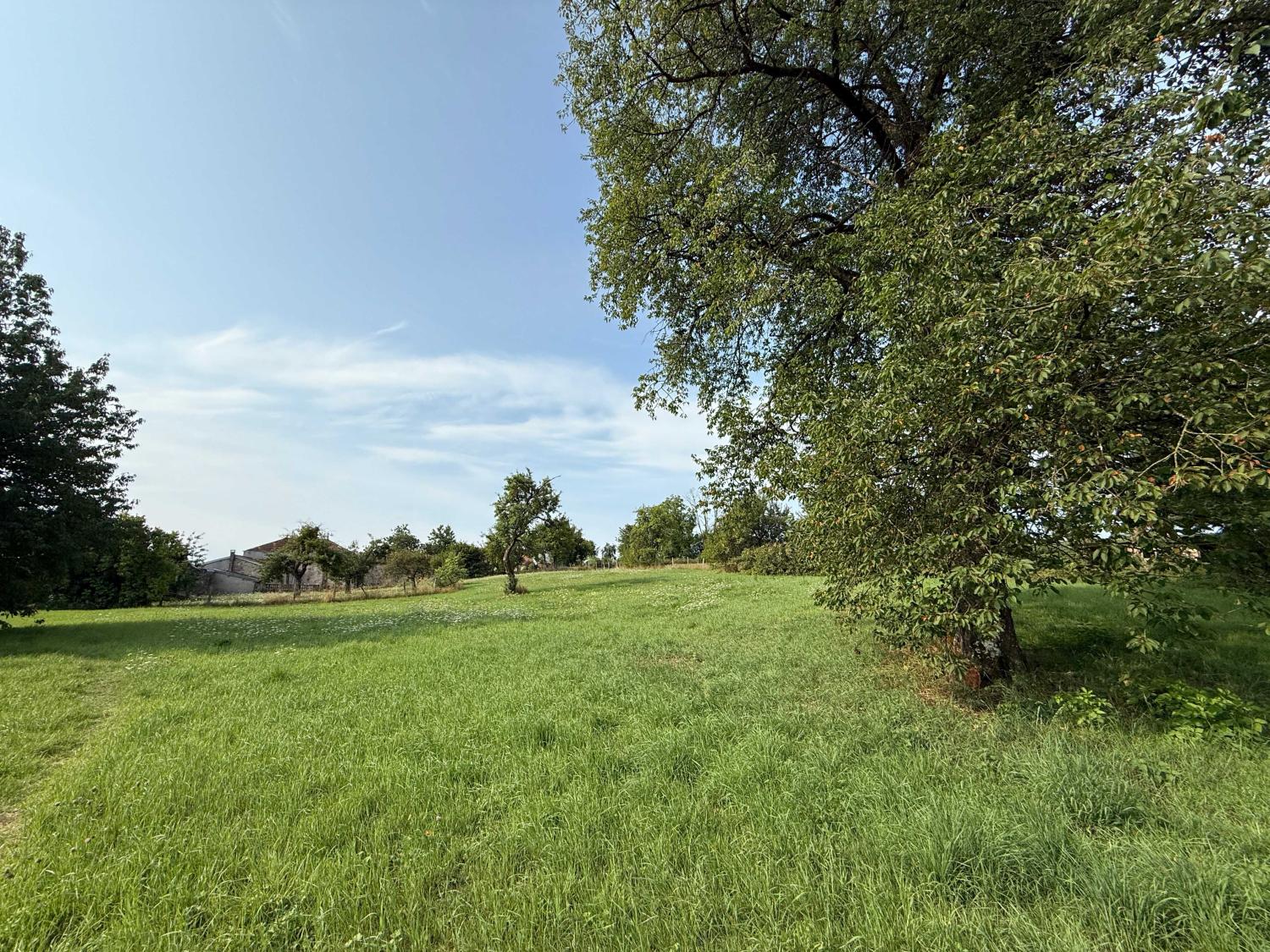  for sale village farm Châtillon-sur-Saône Vosges 25