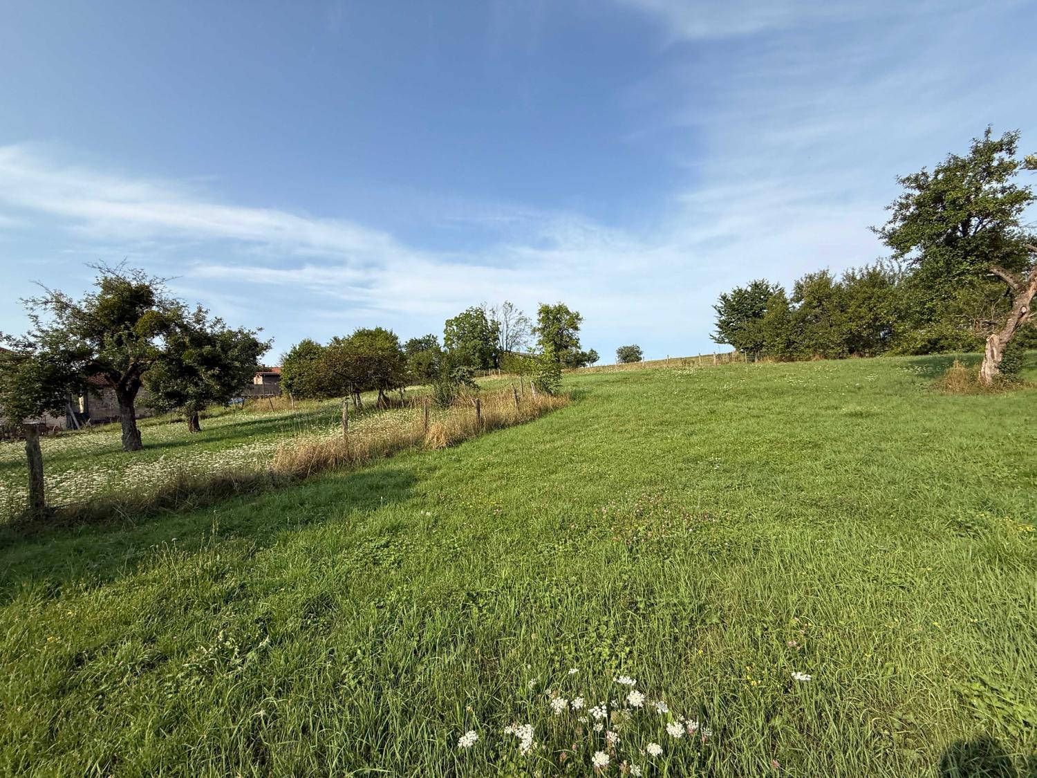  for sale village farm Châtillon-sur-Saône Vosges 22