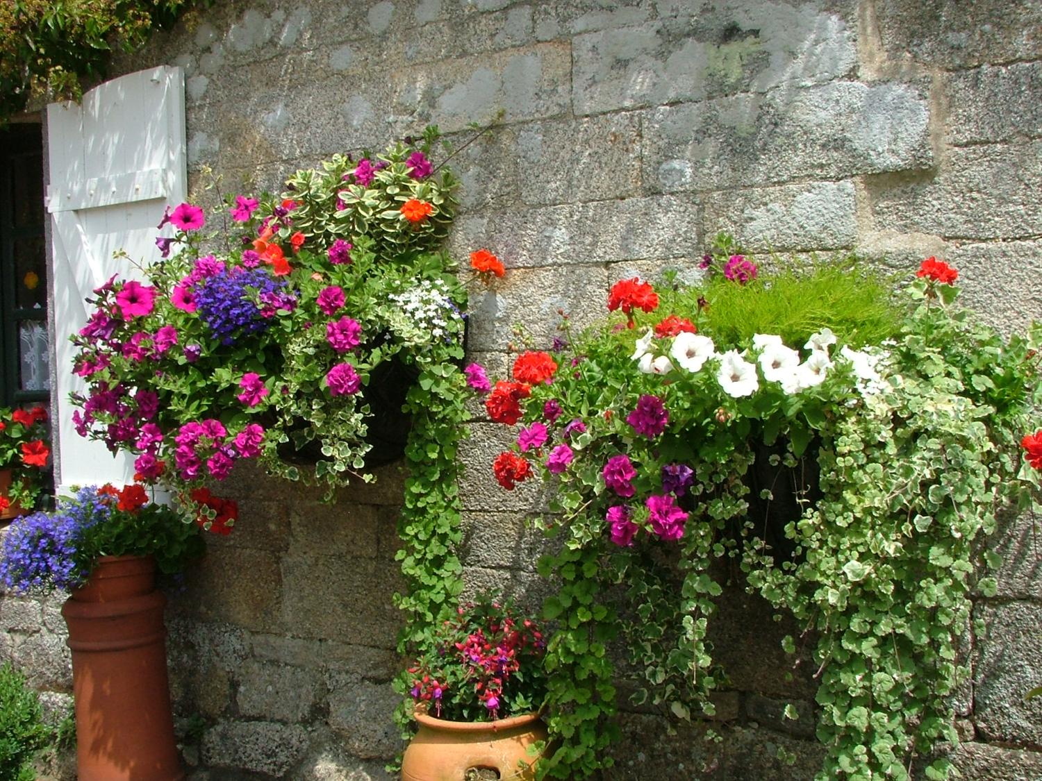  for sale estate Pontivy Morbihan 34