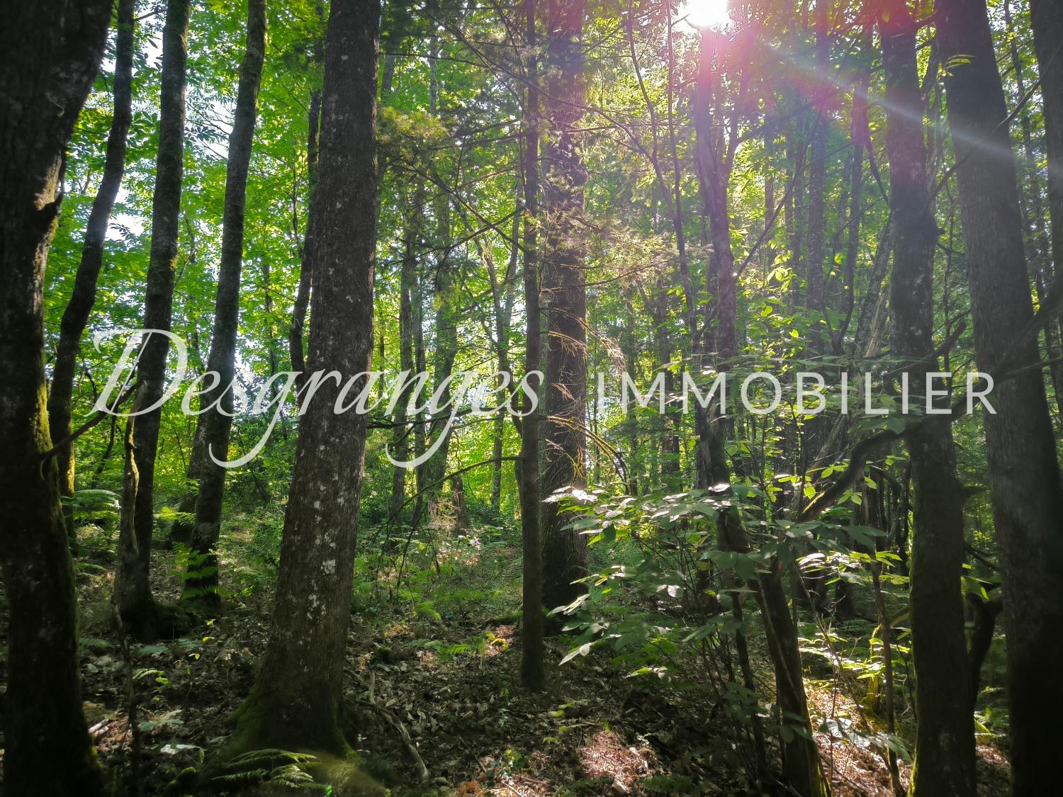  for sale terrain Saint-Yrieix-la-Perche Haute-Vienne 6