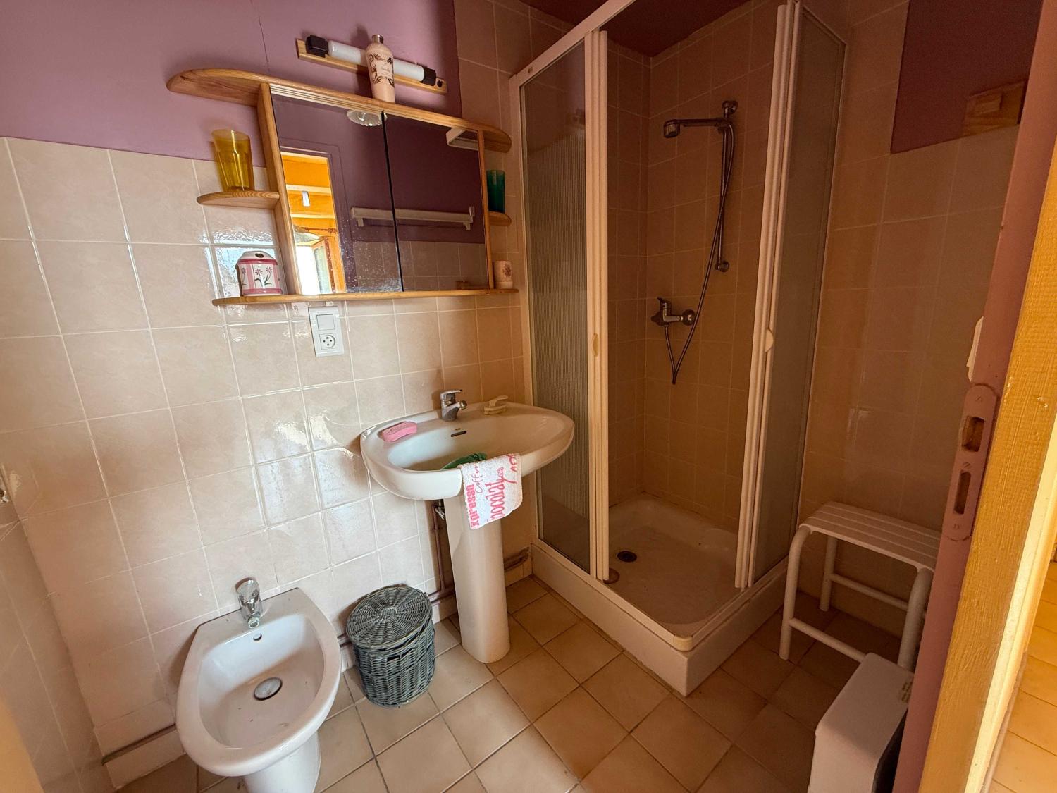  for sale village farm Châtillon-sur-Saône Vosges 10