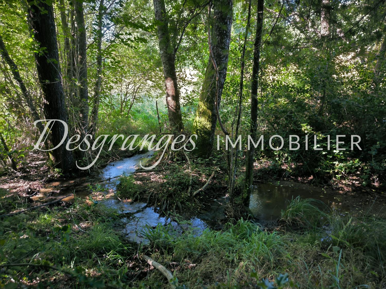  for sale terrain Saint-Yrieix-la-Perche Haute-Vienne 4