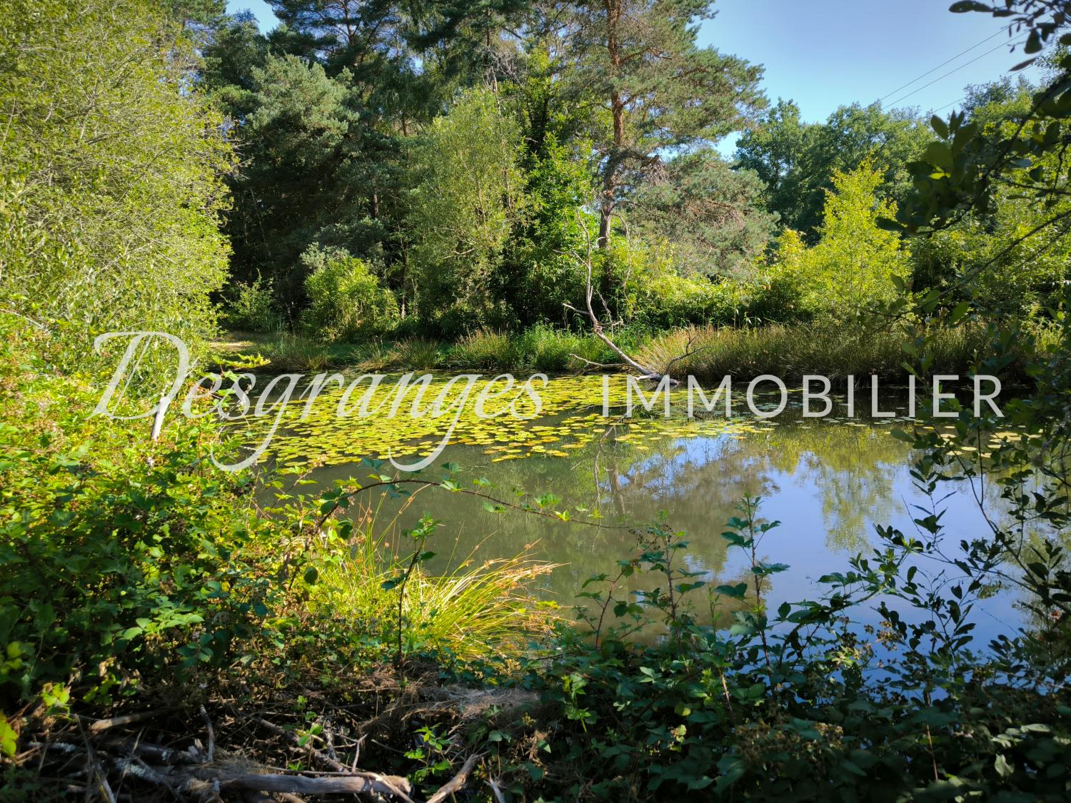  for sale terrain Saint-Yrieix-la-Perche Haute-Vienne 3