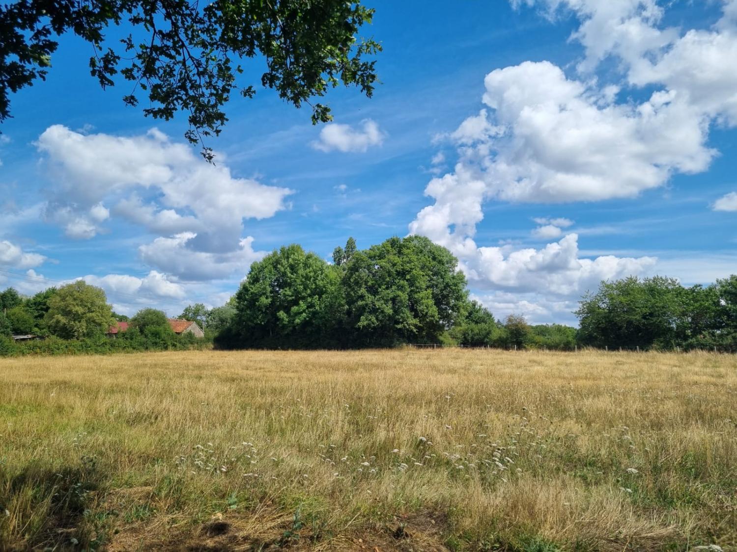  for sale house Jouac Haute-Vienne 11