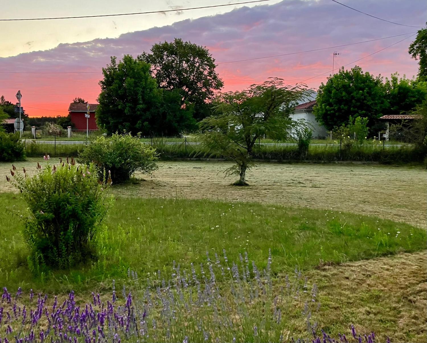  for sale house Gaillan-en-Médoc Gironde 5