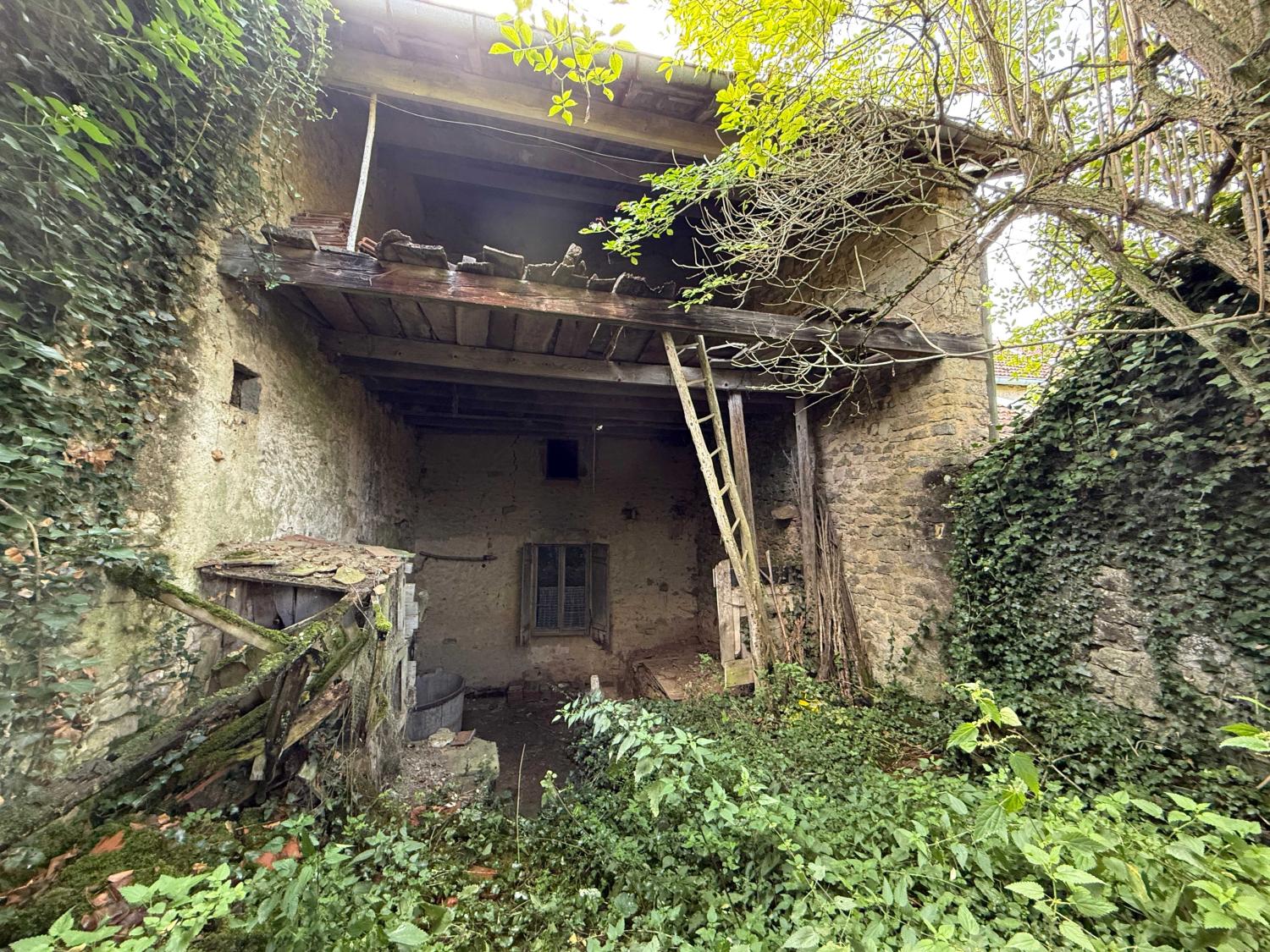  for sale village farm Jussey Haute-Saône 16