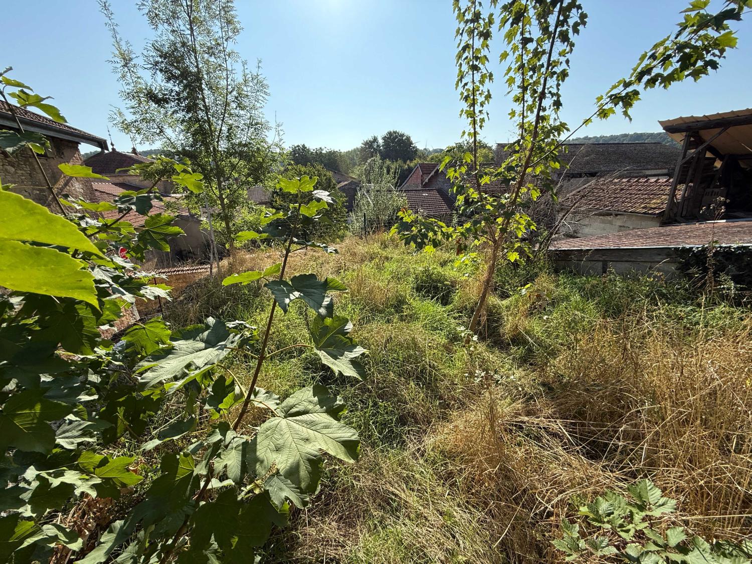  for sale village house Doulevant-le-Château Haute-Marne 23