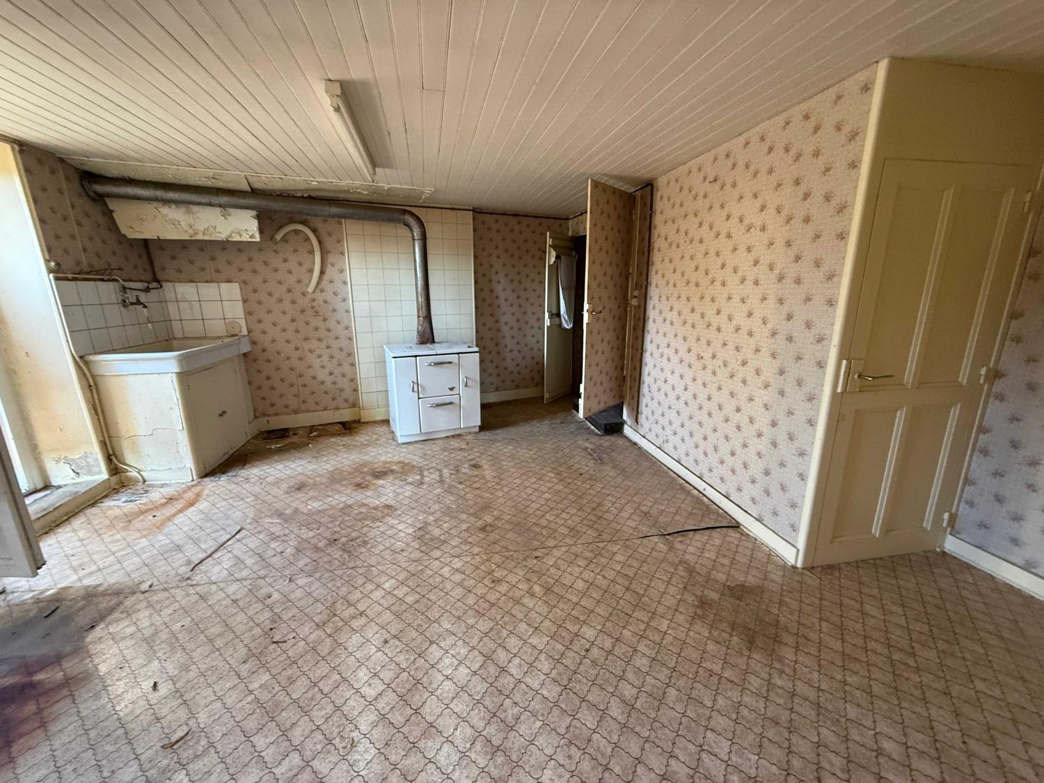  for sale village house Doulevant-le-Château Haute-Marne 30