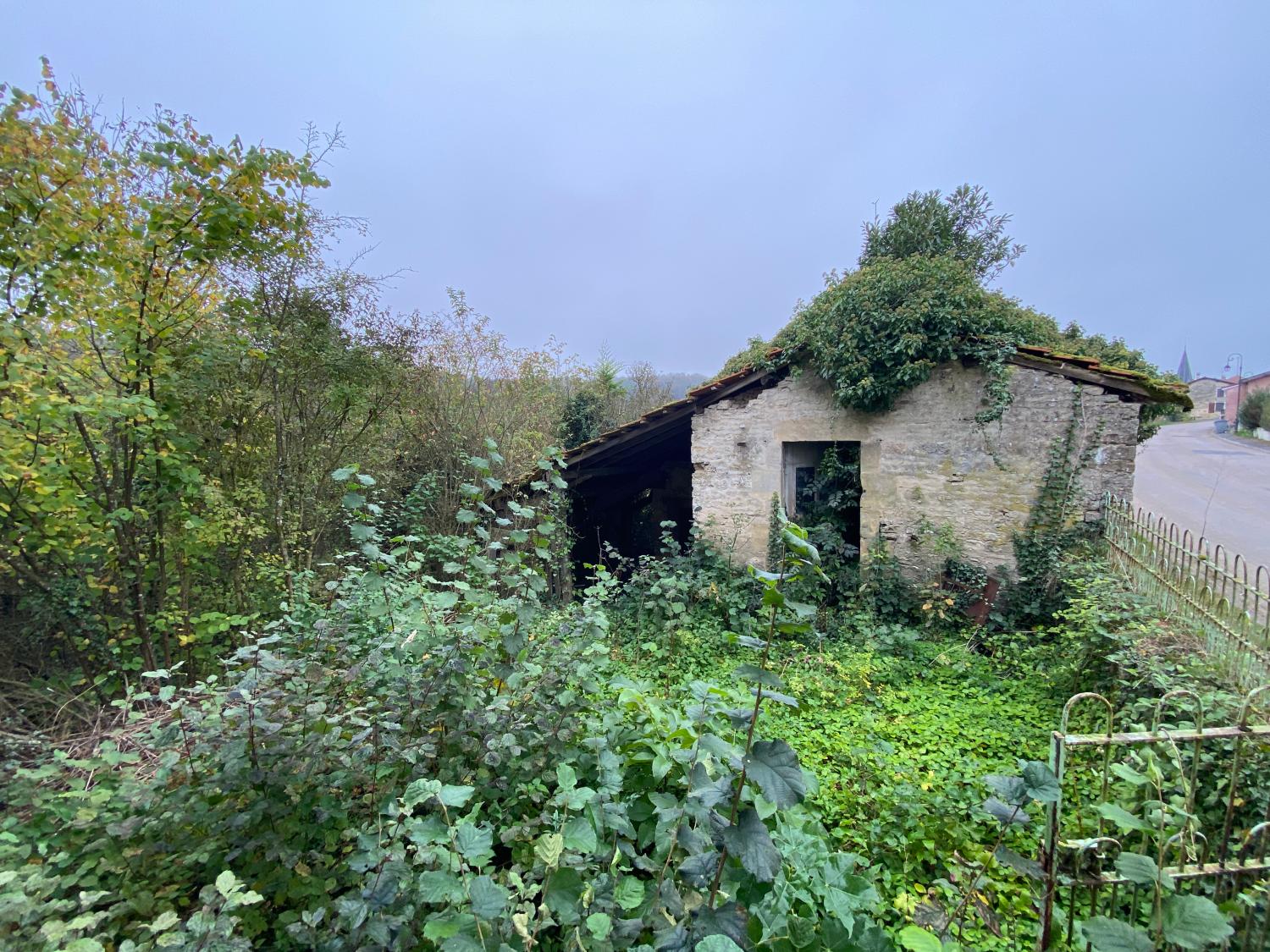  for sale village house Donjeux Haute-Marne 4