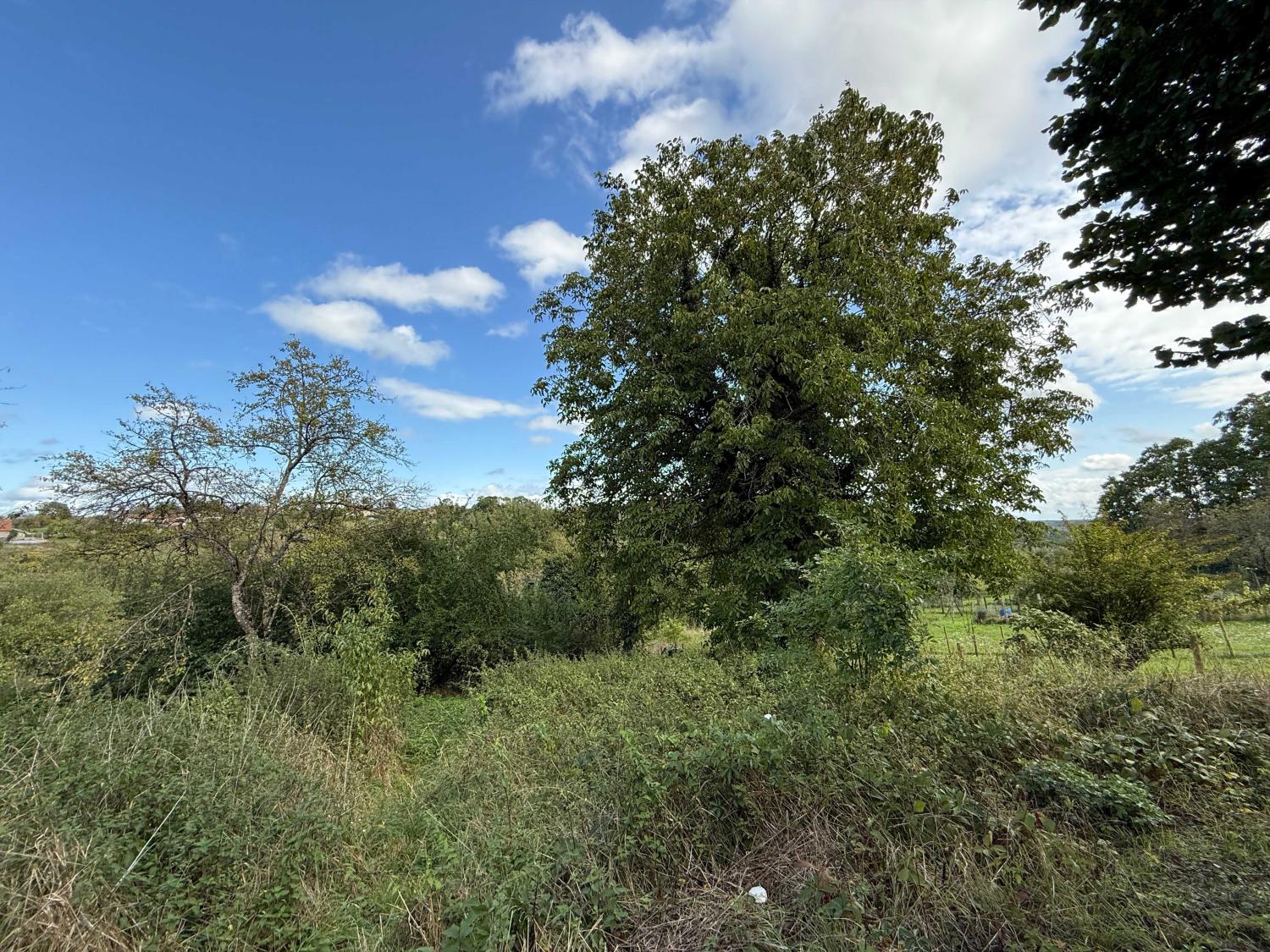  for sale village farm Damrémont Haute-Marne 23