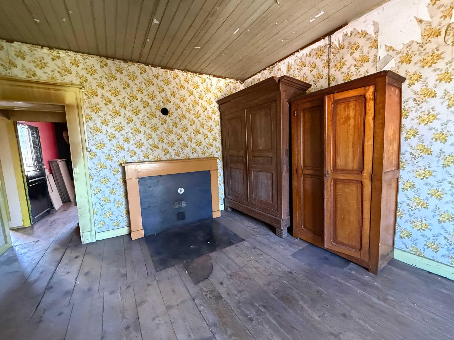  for sale mansion Châtillon-sur-Saône Vosges 14