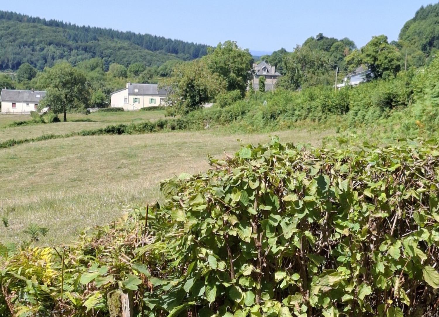  for sale house Saint-Léger-de-Fougeret Nièvre 8