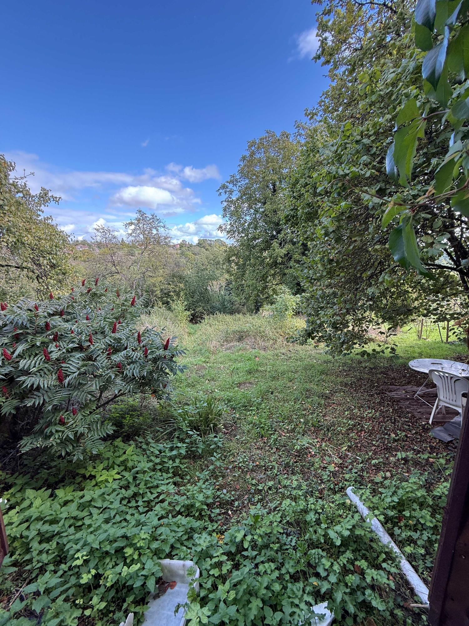  for sale village farm Bourbonne-les-Bains Haute-Marne 6