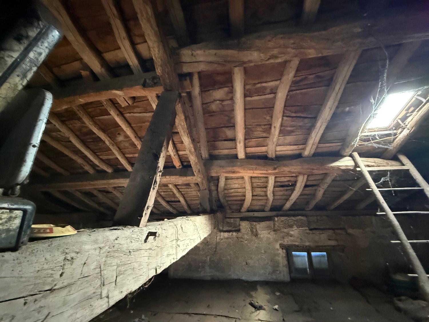  for sale mansion Châtillon-sur-Saône Vosges 40