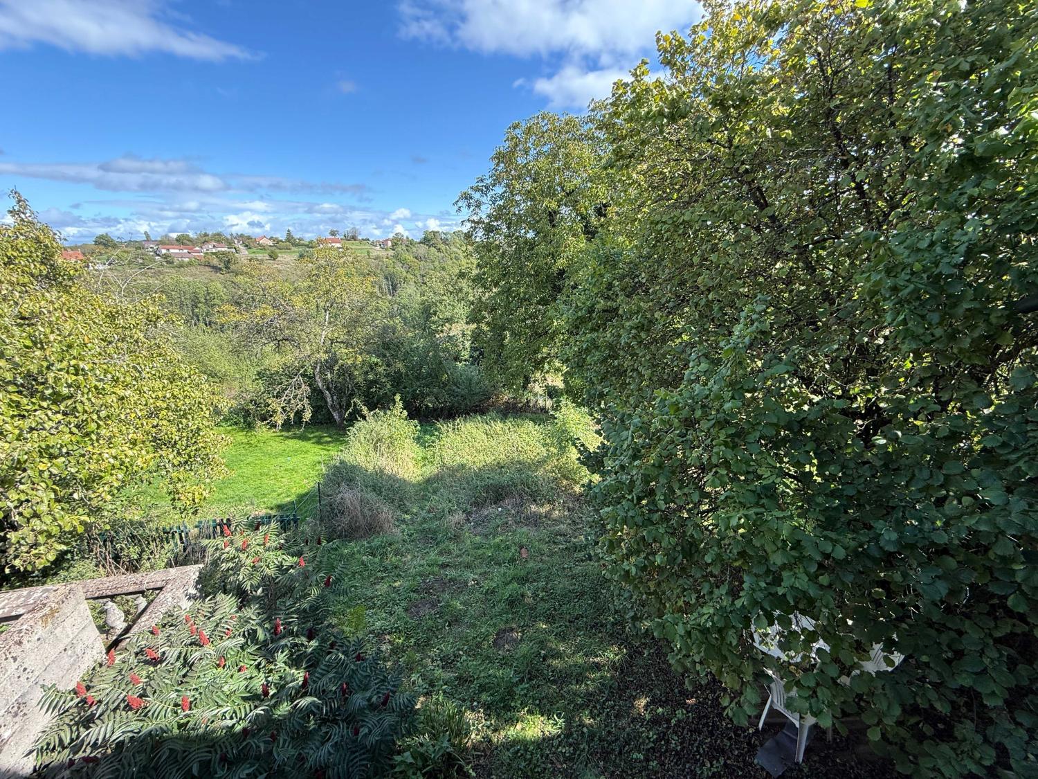 for sale village farm Bourbonne-les-Bains Haute-Marne 15