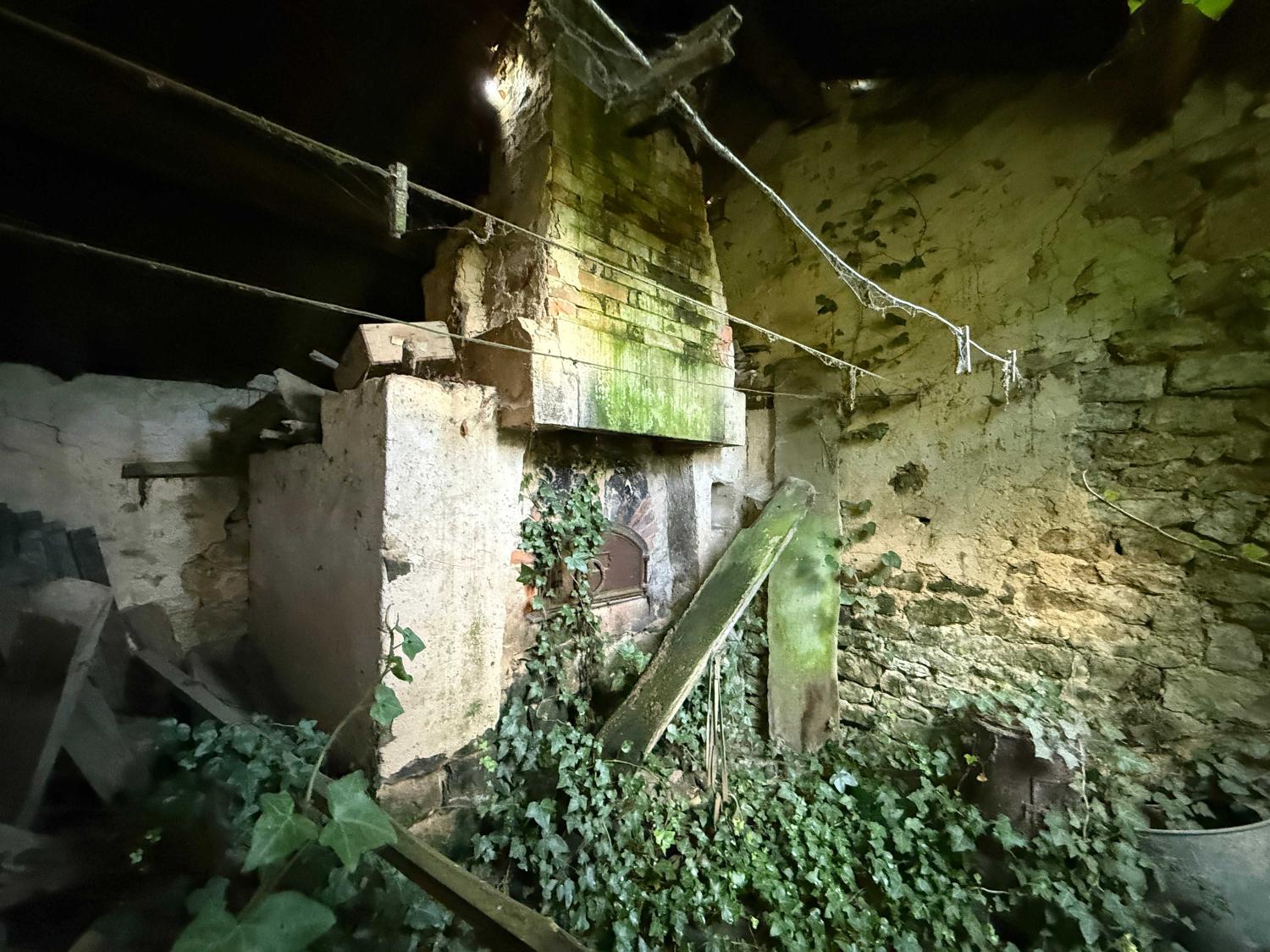 for sale village farm Vitrey-sur-Mance Haute-Saône 12