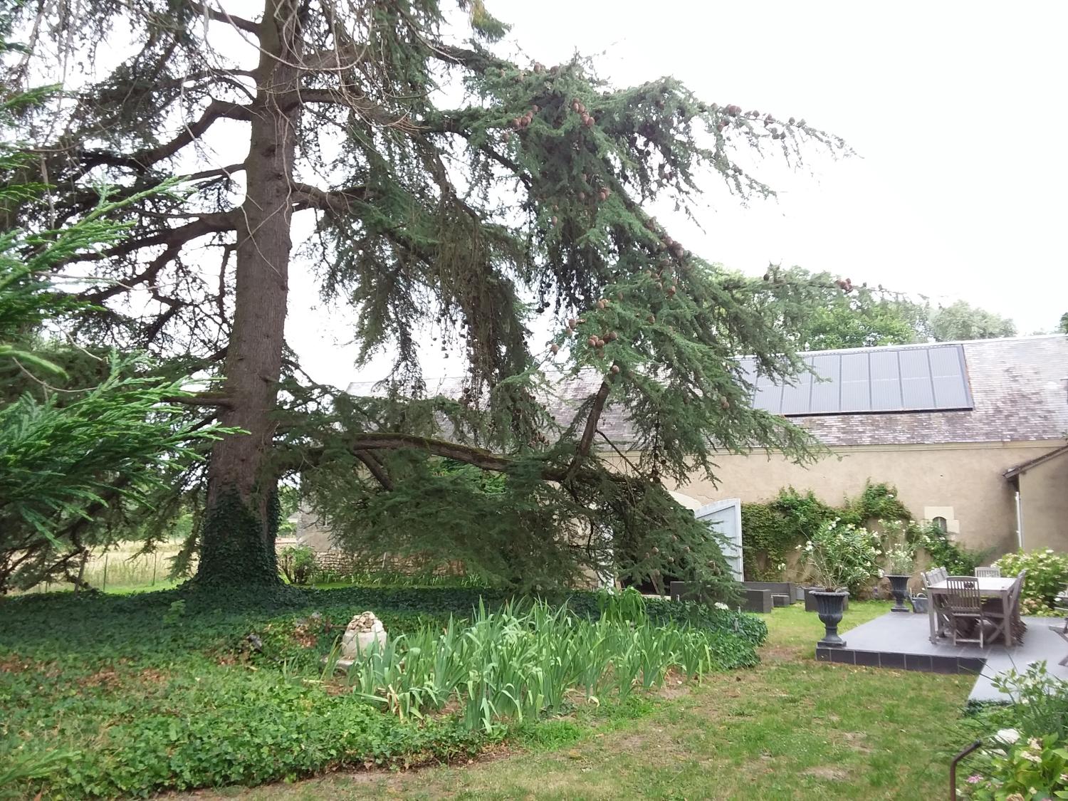  for sale bed and breakfast Couddes Loir-et-Cher 7