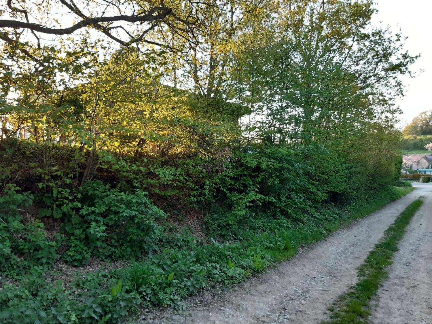 for sale chalet Preures Pas-de-Calais 3