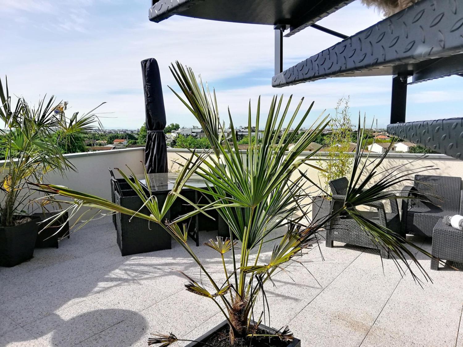  for sale apartment Toulouse 31200 Haute-Garonne 3