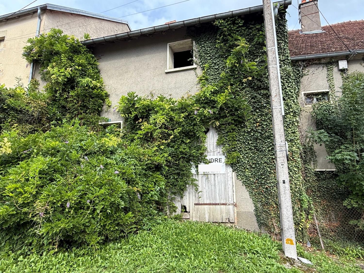 for sale village farm Vitrey-sur-Mance Haute-Saône 34