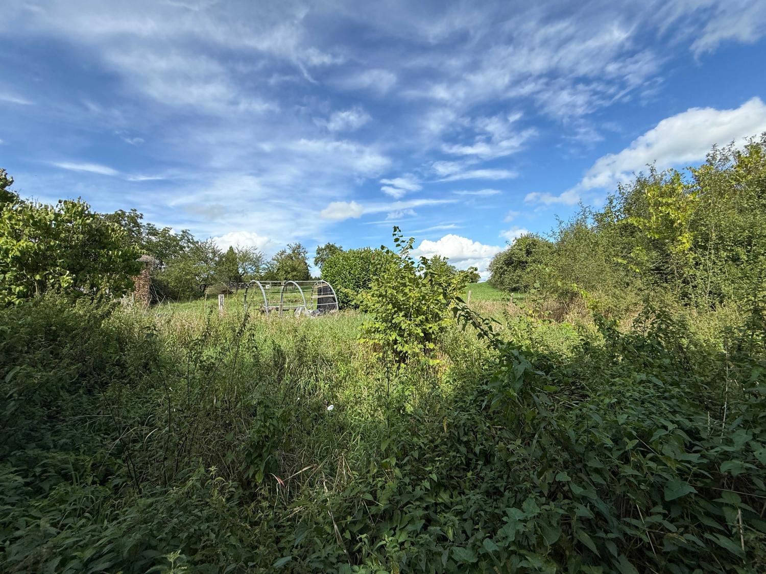 for sale village farm Vitrey-sur-Mance Haute-Saône 13