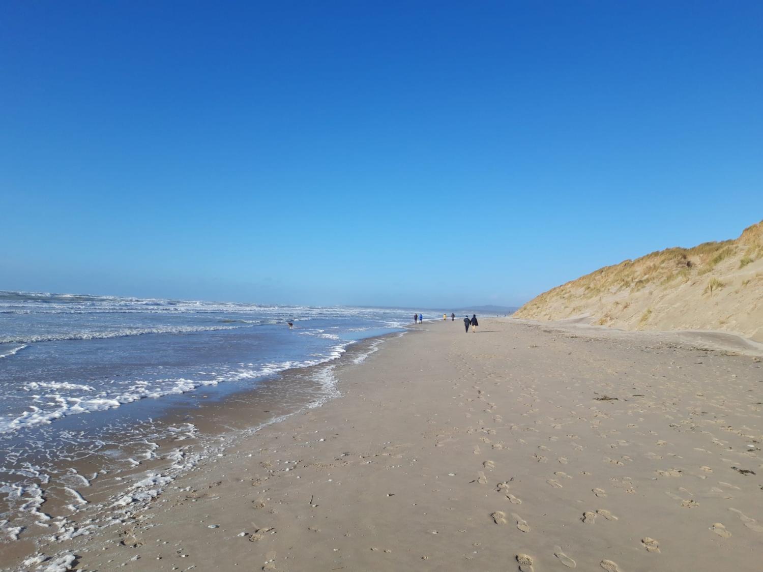 for sale chalet Preures Pas-de-Calais 19