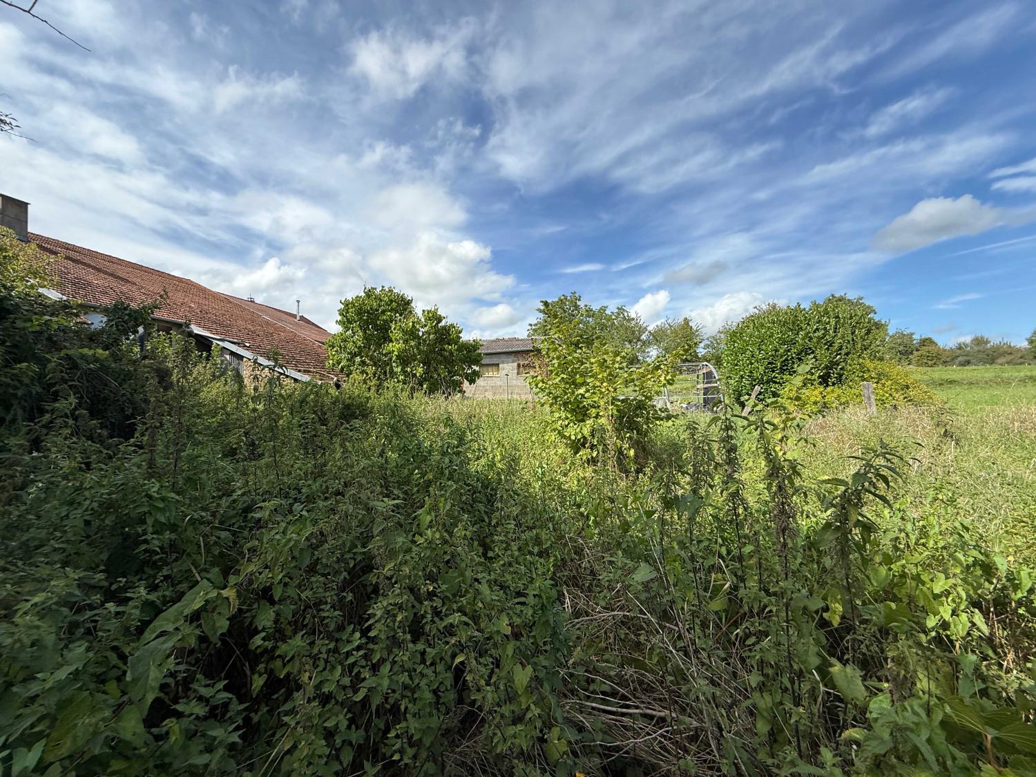 for sale village farm Vitrey-sur-Mance Haute-Saône 14