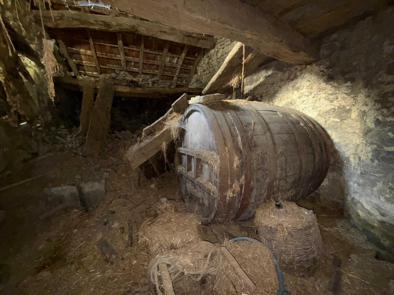 for sale village farm Vitrey-sur-Mance Haute-Saône 28