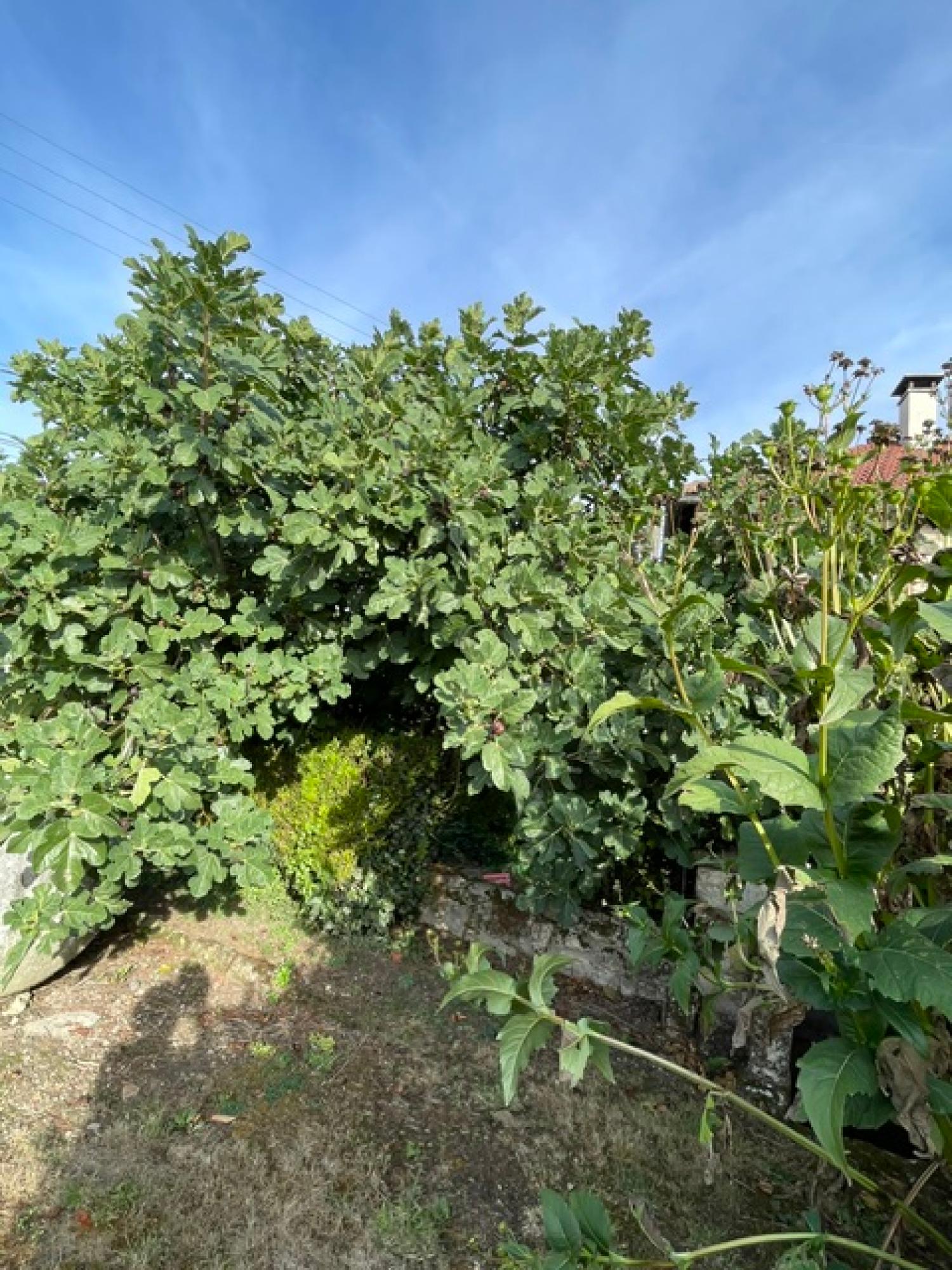 for sale property with holiday home Vez Oise 15