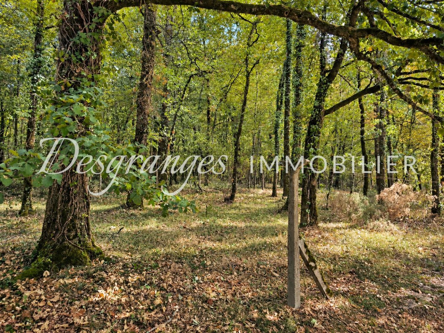  for sale house Excideuil Dordogne 18