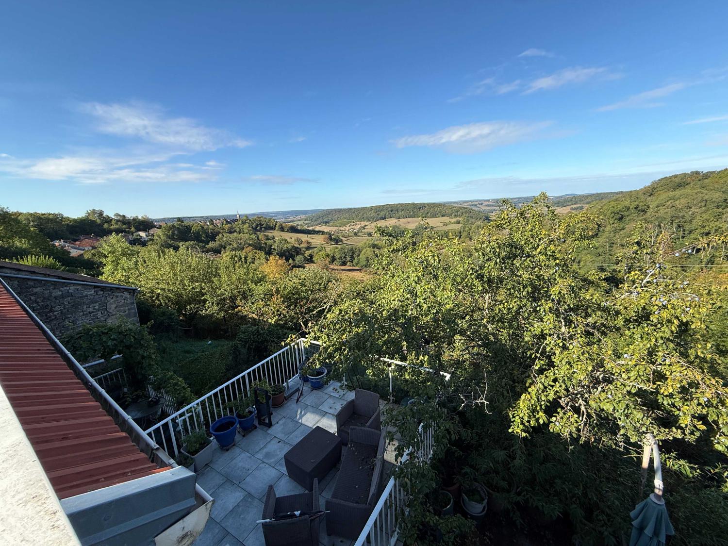 for sale village house Bourbonne-les-Bains Haute-Marne 18