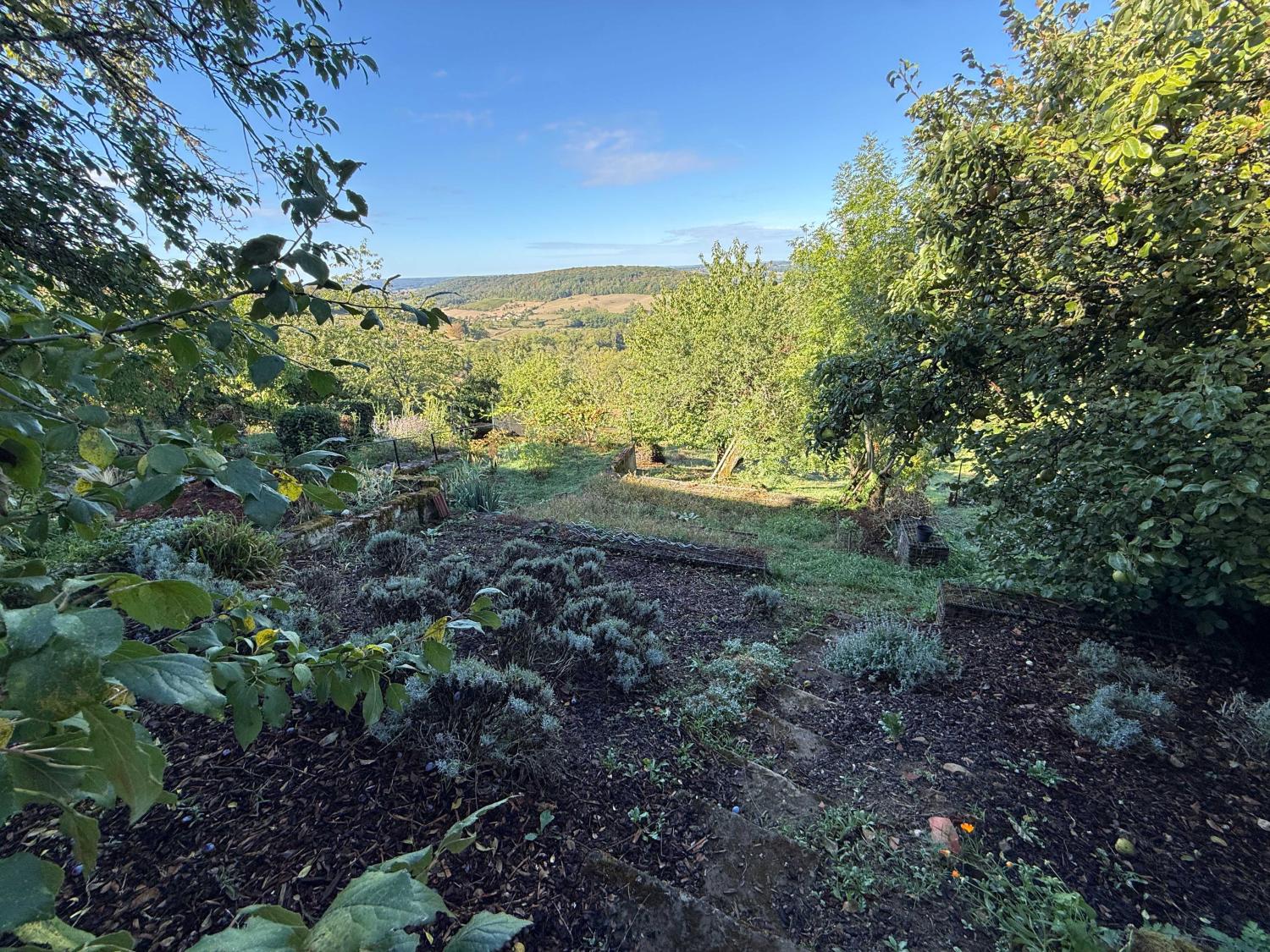 for sale village house Bourbonne-les-Bains Haute-Marne 27