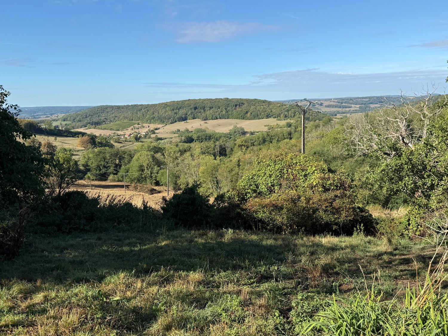 for sale village house Bourbonne-les-Bains Haute-Marne 31