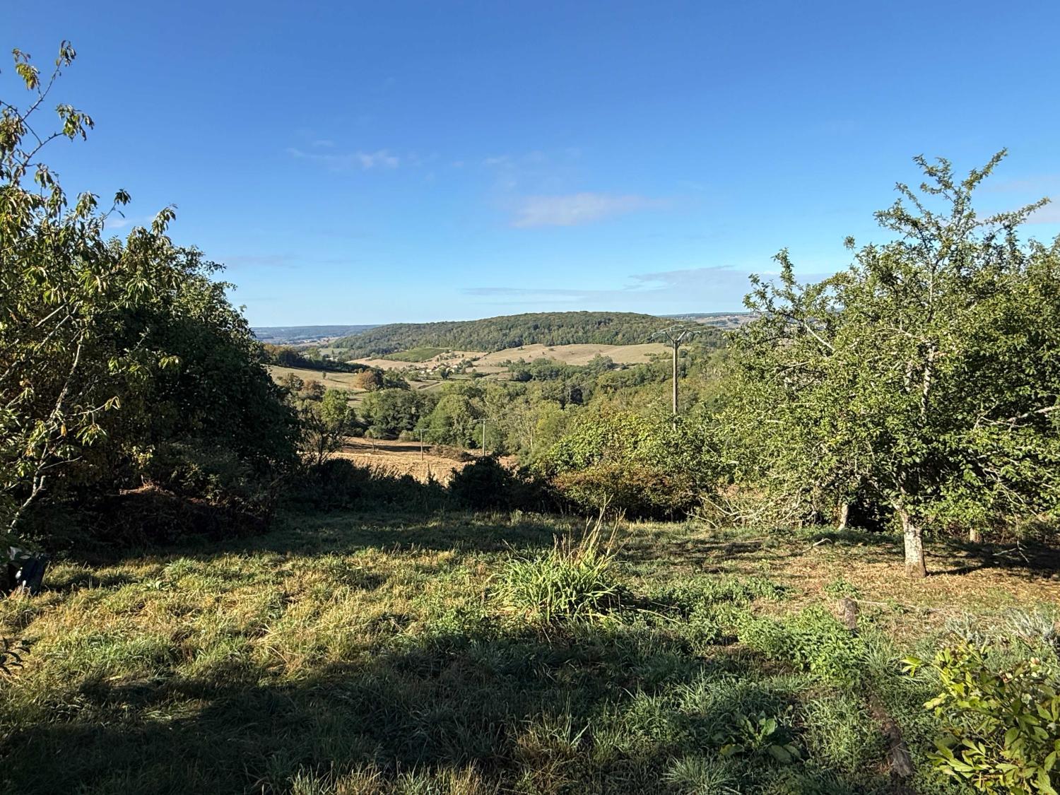 for sale village house Bourbonne-les-Bains Haute-Marne 30