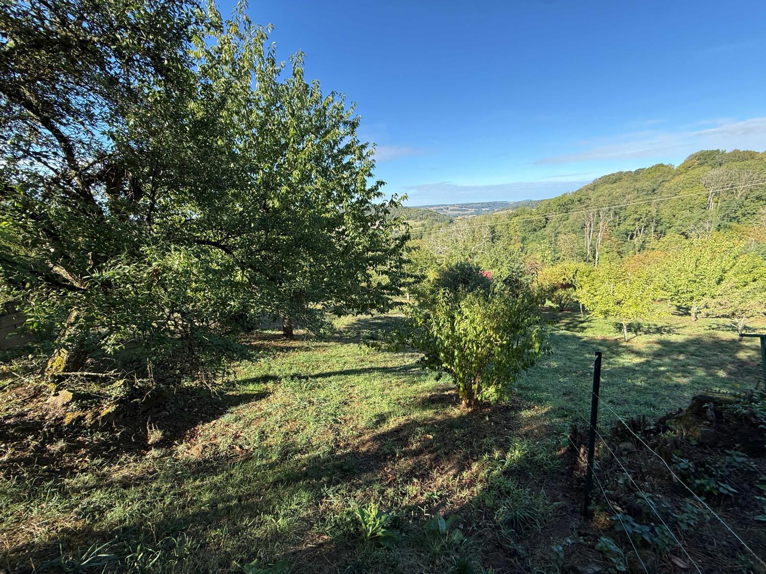 for sale village house Bourbonne-les-Bains Haute-Marne 29