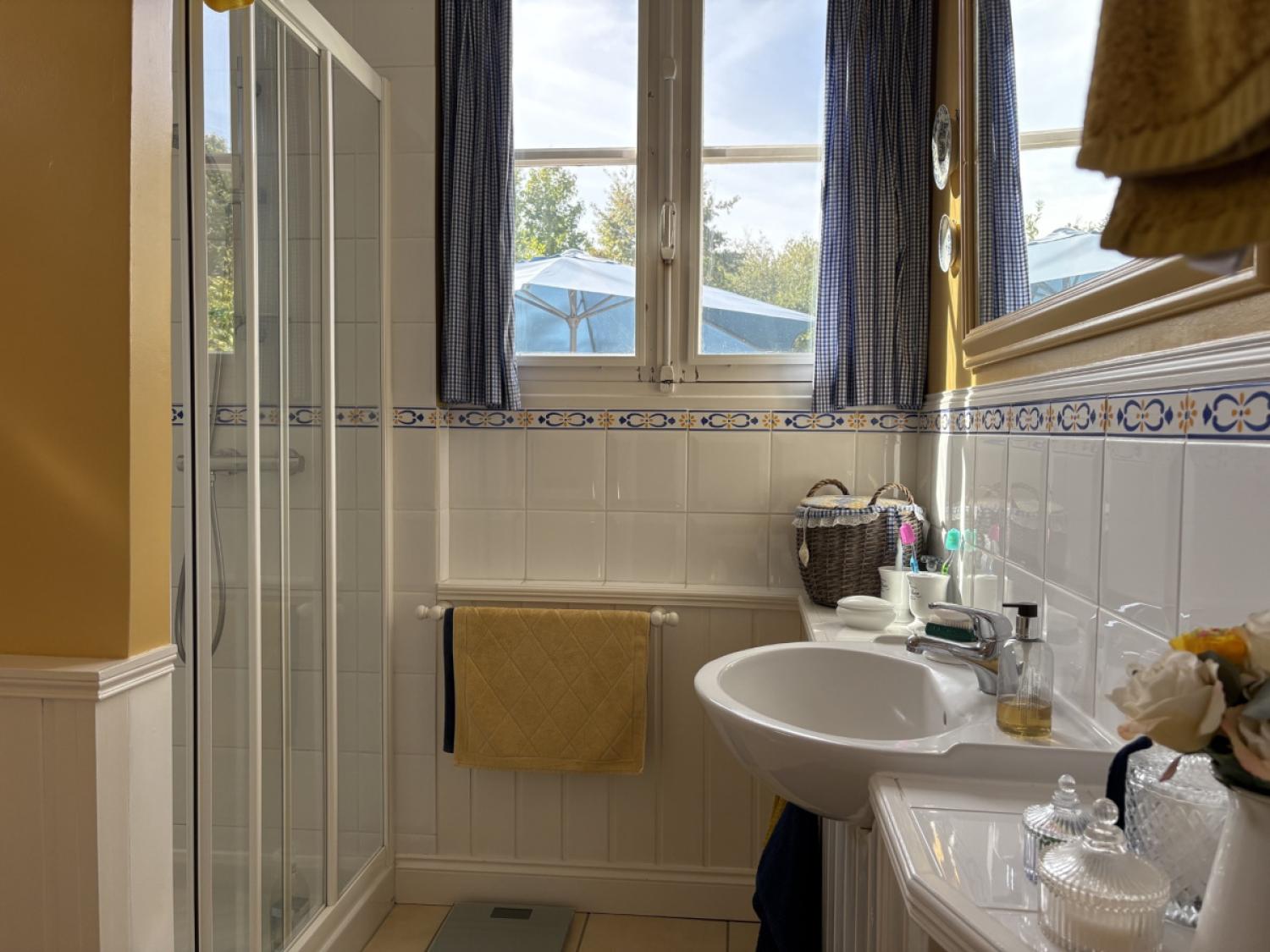  for sale property with holiday home Meuzac Haute-Vienne 15