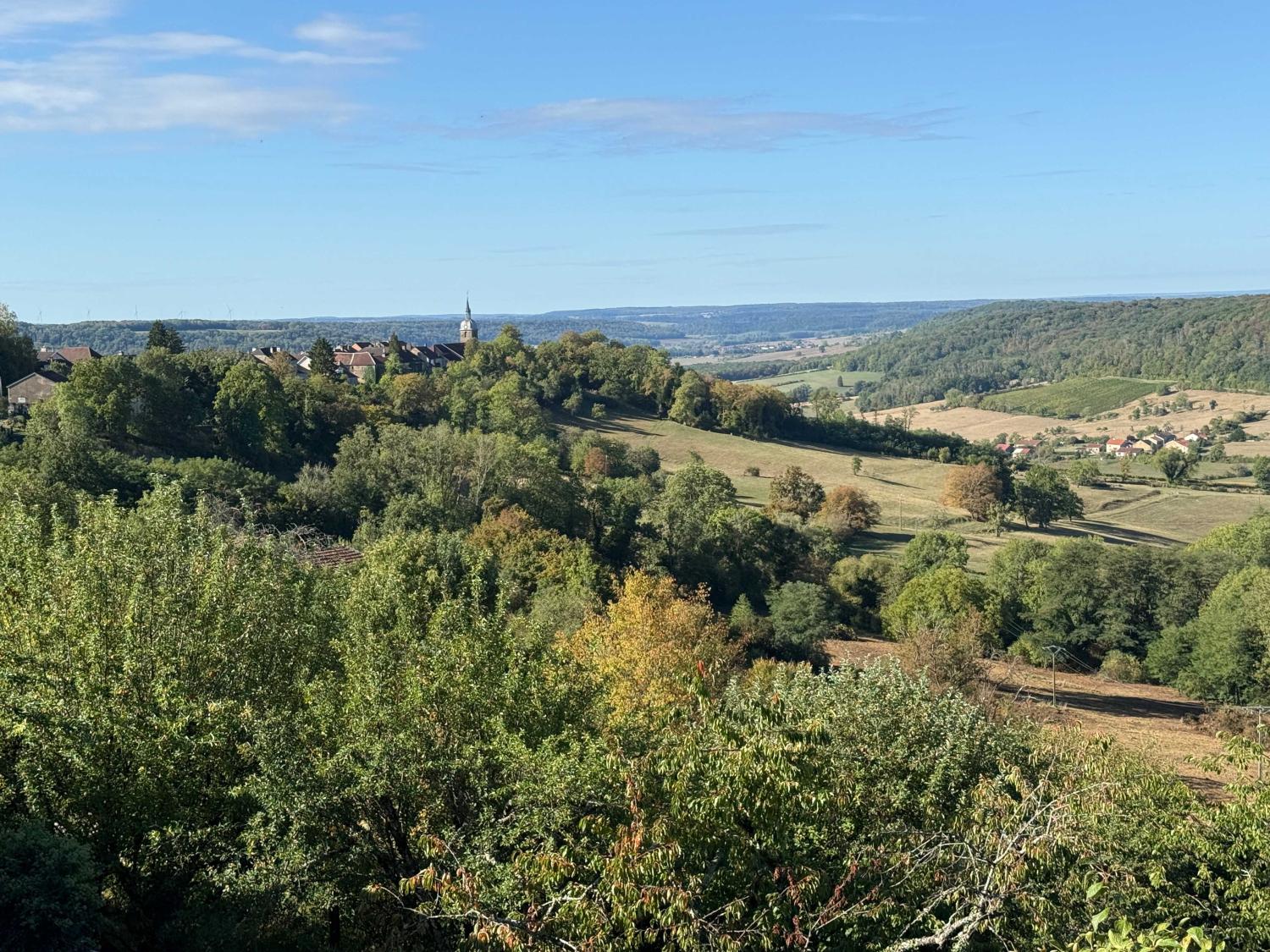 for sale village house Bourbonne-les-Bains Haute-Marne 19