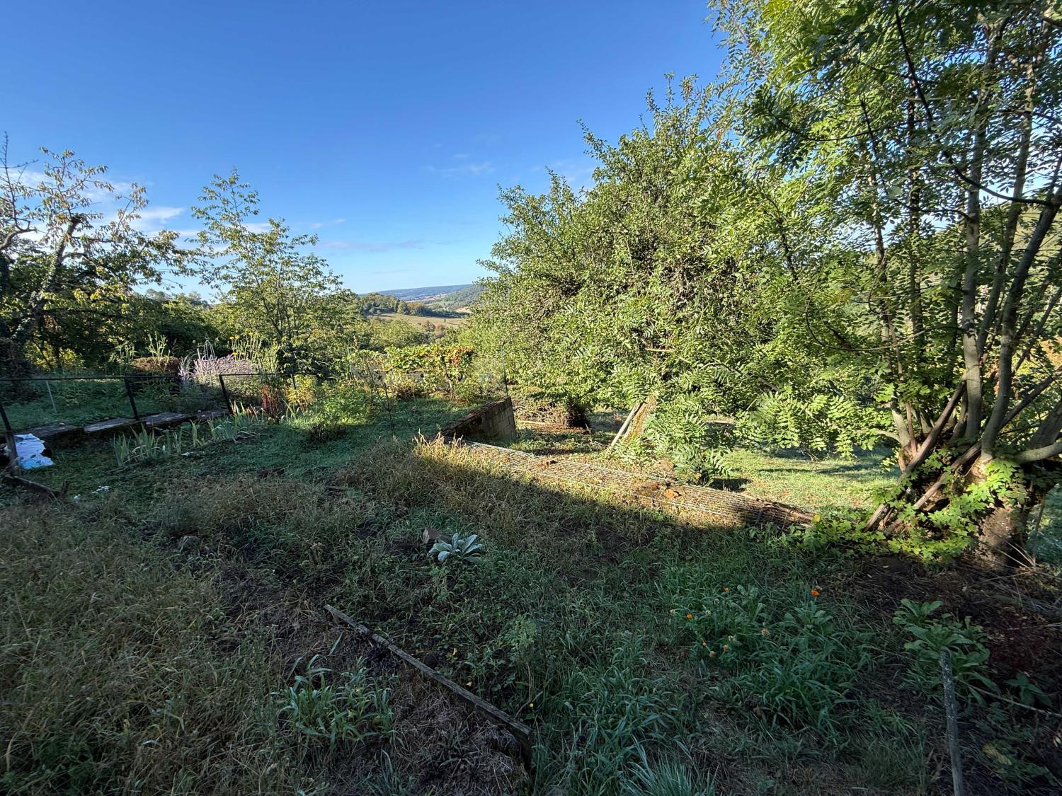for sale village house Bourbonne-les-Bains Haute-Marne 28