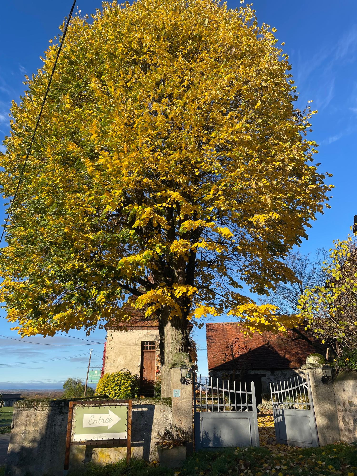  for sale camping Lussat Creuse 27