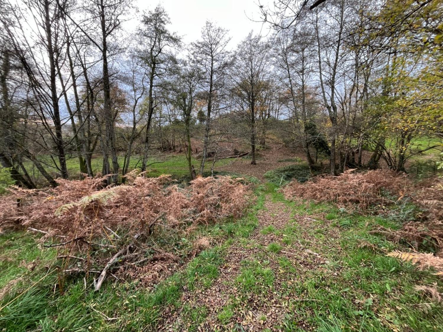  for sale property with holiday home Saint-Hilaire-en-Morvan Nièvre 22