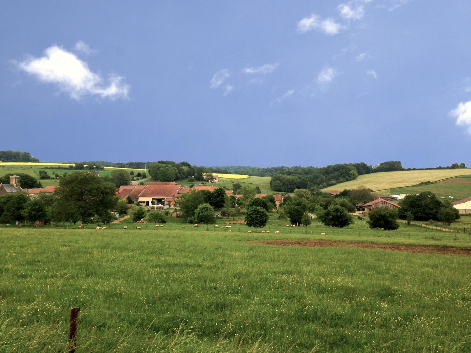  for sale bed and breakfast Autréville-Saint-Lambert Meuse 43