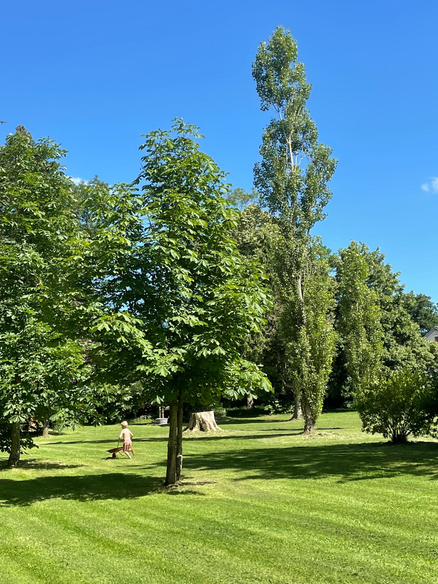  for sale camping Lussat Creuse 4