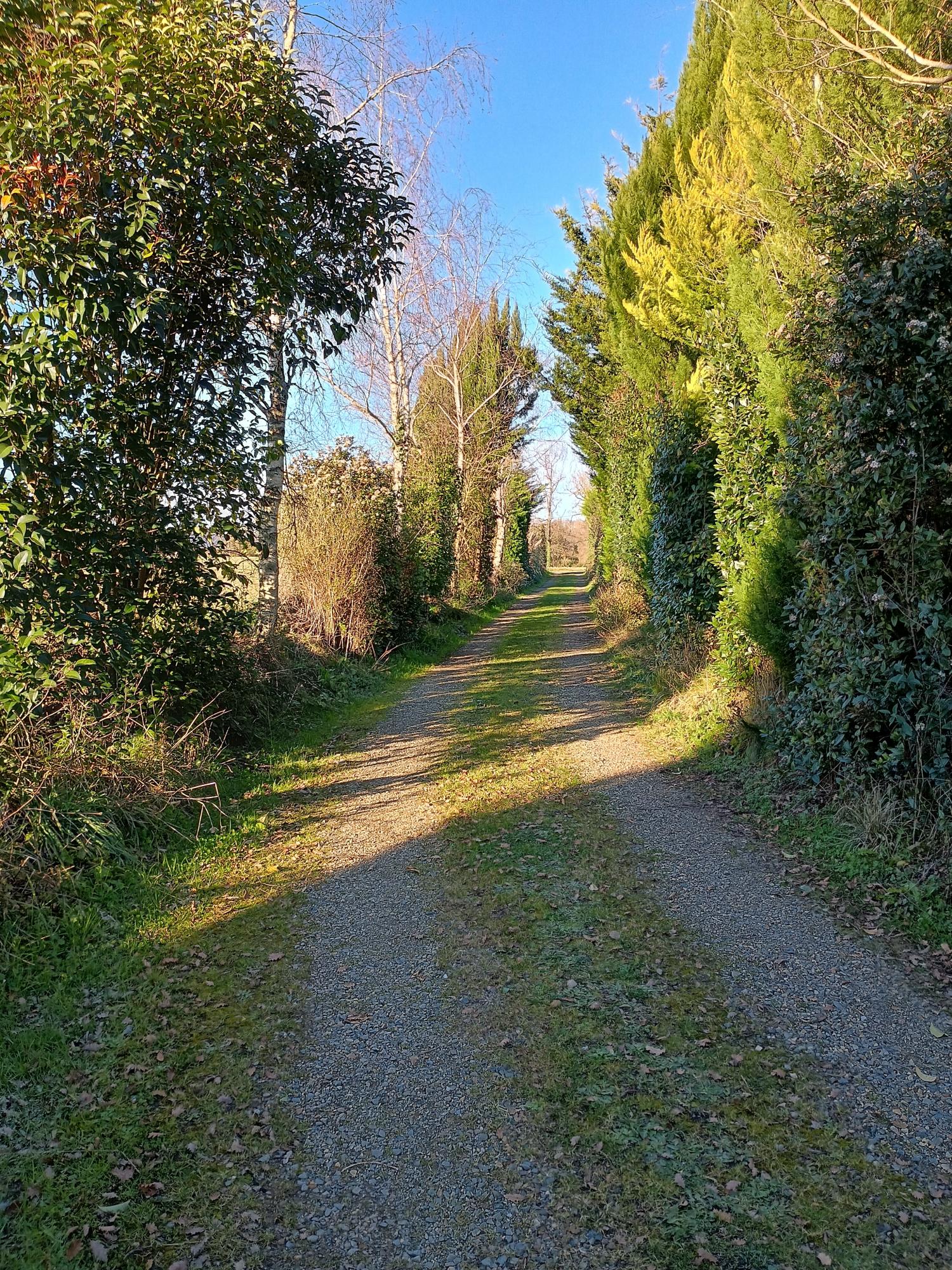  for sale detached house Aire-sur-l'Adour Landes 38